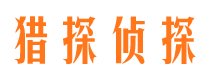 凤泉市侦探公司